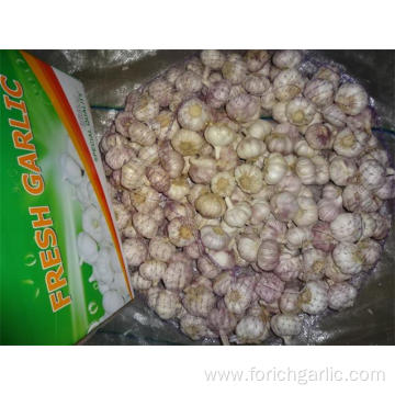 Hot Sale Fresh Garlic